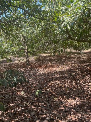 Casa rural en venta en Coín