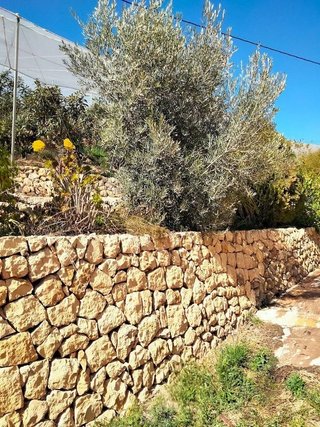 Terreno en venta en Callosa d´En Sarrià