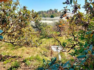 Terreno en venta en Callosa d´En Sarrià
