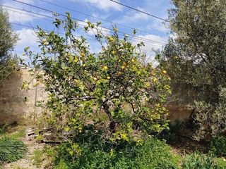 Terreno en venta en Son Cladera - El Vivero en Palma de Mallorca