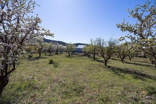 Terreno en venta en Dílar