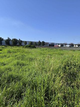 Terreno en venta en Zona la Ribera - Alqueria - Río en Huelva