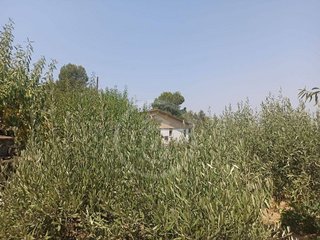 Terreno en venta en Gelida