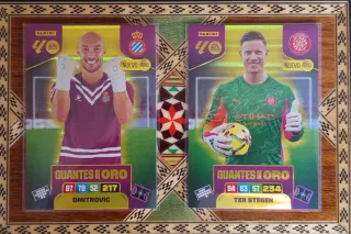 Panini Adrenalyn XL Nuevos Guantes Oro