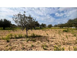 Solar en venta en Campos