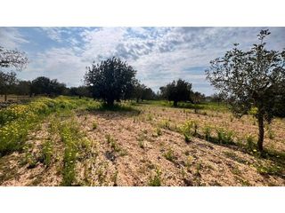 Solar en venta en Campos