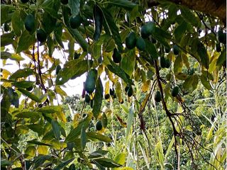 Terreno en venta en Paseo Marítimo de Levante en Vélez-Málaga