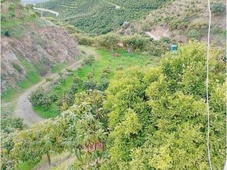 Terreno en venta en Paseo Marítimo de Levante en Vélez-Málaga