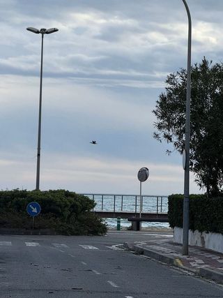 Terreno en venta en Port - Horta de Santa María en Cambrils