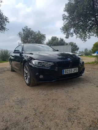 BMW Serie 4 2016