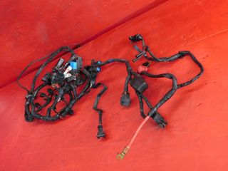 IMPIANTO ELETTRICO TRIUMPH STREET TRIPLE 675