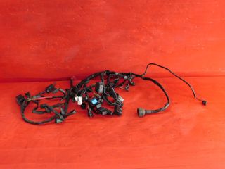 IMPIANTO ELETTRICO TRIUMPH STREET TRIPLE 675