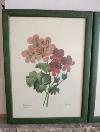 3 Quadri Decorativi Fiori Vintage