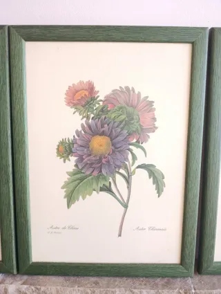 3 Quadri Decorativi Fiori Vintage