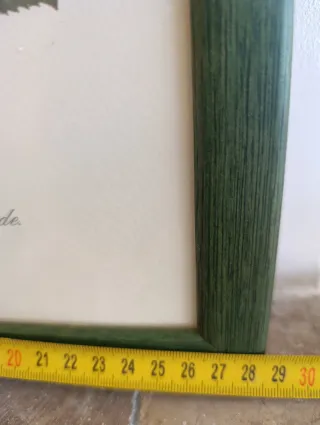 3 Quadri Decorativi Fiori Vintage