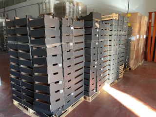 Se regalan 20 Palets de cajas de cartón