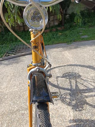 Bicicleta BH Gacela Dorada