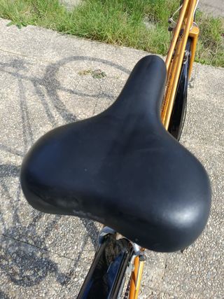 Bicicleta BH Gacela Dorada