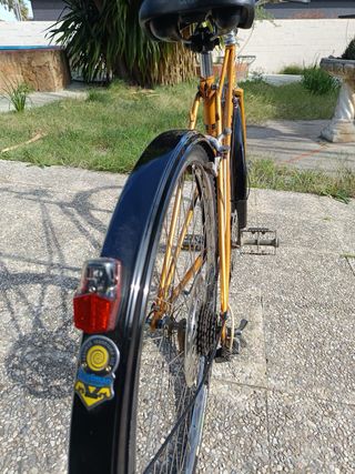 Bicicleta BH Gacela Dorada