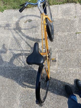 Bicicleta BH Gacela Dorada