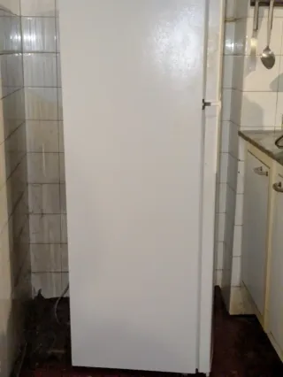 Nevera Edesa ETF-1411 WH/C Seminueva