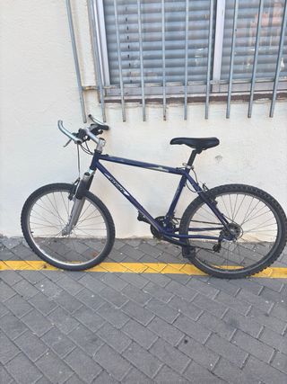 Bicicleta de adulto azul