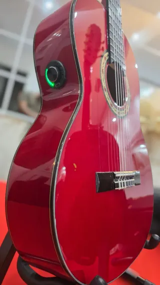 Guitarra Flamenca