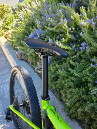 Cannondale Scalpel-Si Carbon 4