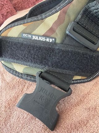 Giocattoli Julius K-9 Originali per Cani di Taglia Media