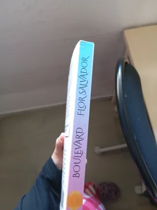 Boulevard (Spanish Edition)