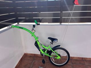 Remolque infantil para bicicleta