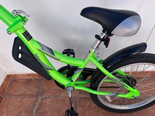 Remolque infantil para bicicleta
