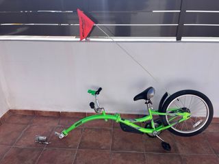 Remolque infantil para bicicleta