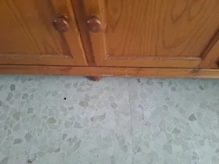 Mueble antiguo madera y cristal