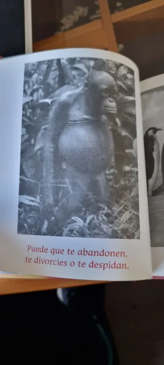 Animate : sabios consejos para ponerte de buen ...