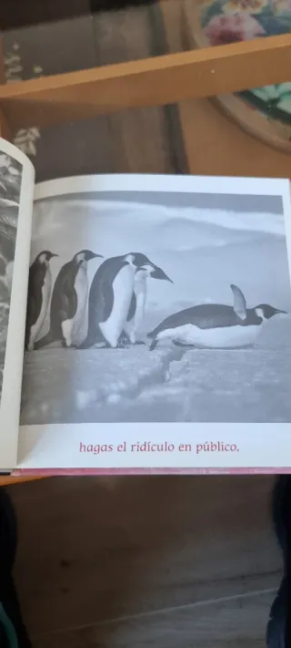 Animate : sabios consejos para ponerte de buen ...