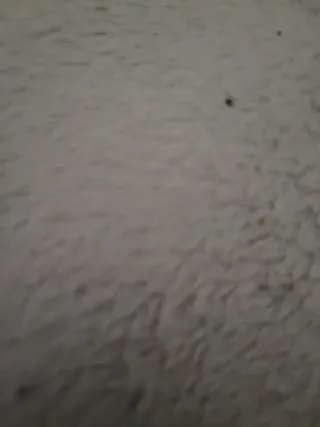 Se hacen vaciados de escombros