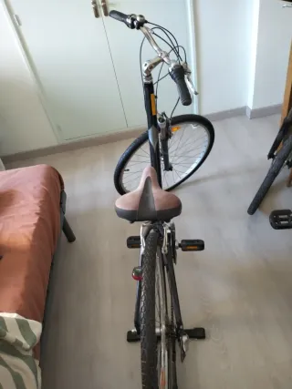 Bici Specialized Aluminio 8 marchas Shimano