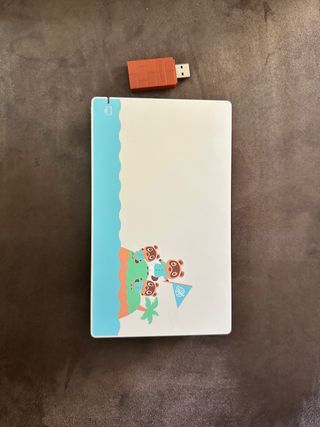 Nintendo Switch Animal Crossing Edizione Speciale