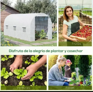Invernadero túnel con puerta enrollable