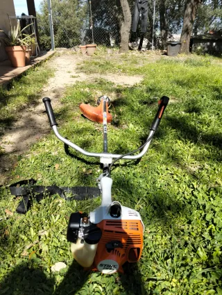 Desbrozadora Stihl FS 55