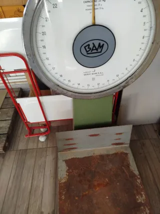 Báscula Industrial BAM 25 Kg