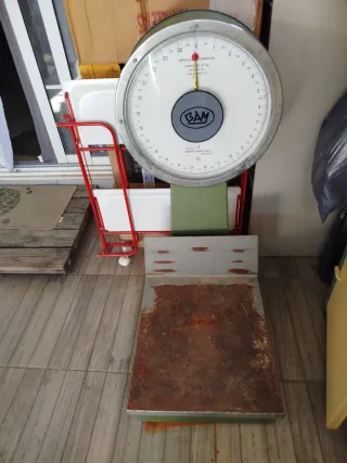 Báscula Industrial BAM 25 Kg