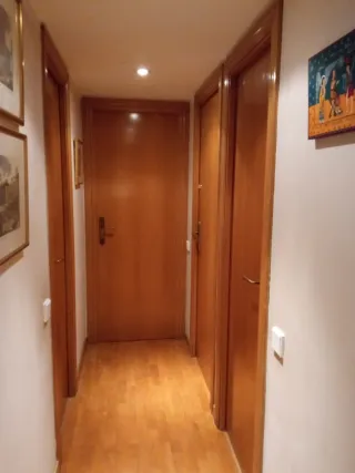 6 Puertas de roble macizo