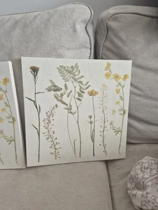 2 Cuadros Decorativos Flores Secas 30x30