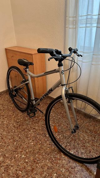 Bicicleta mujer plateada