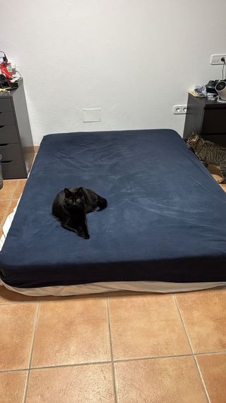 Colchón de muelles usado