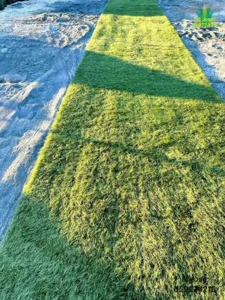 Césped artificial reciclado