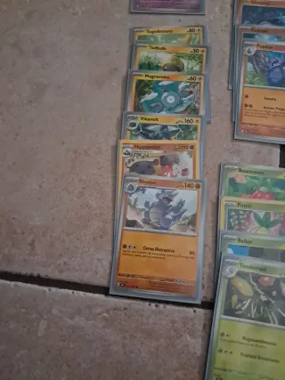 Carte Pokemon