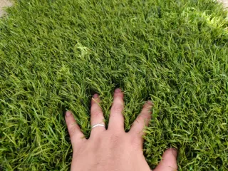 Césped artificial reciclado